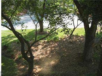 1st image of 1600 Renate Dr #3