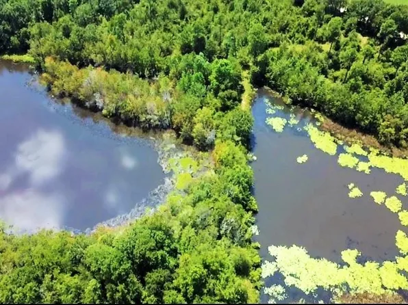 0 Hooks Rd, Millen, GA 30442