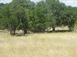 1st image of 325 Shady Holw