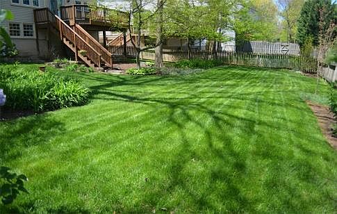Beautiful Rear yard
