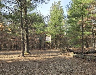 V/l E #44, Idlewild, MI, 49642