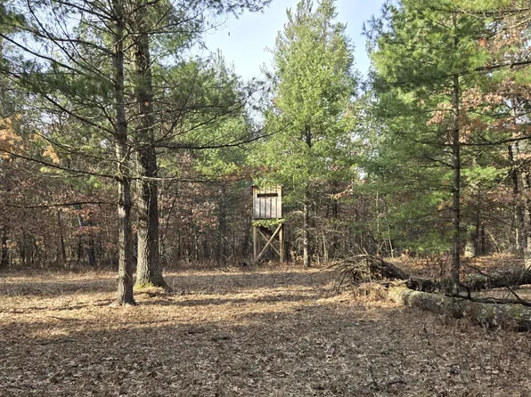 V/l E #44, Idlewild, MI 49642