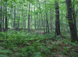 4 Spiller Hill Rd, Raymond, ME 04071