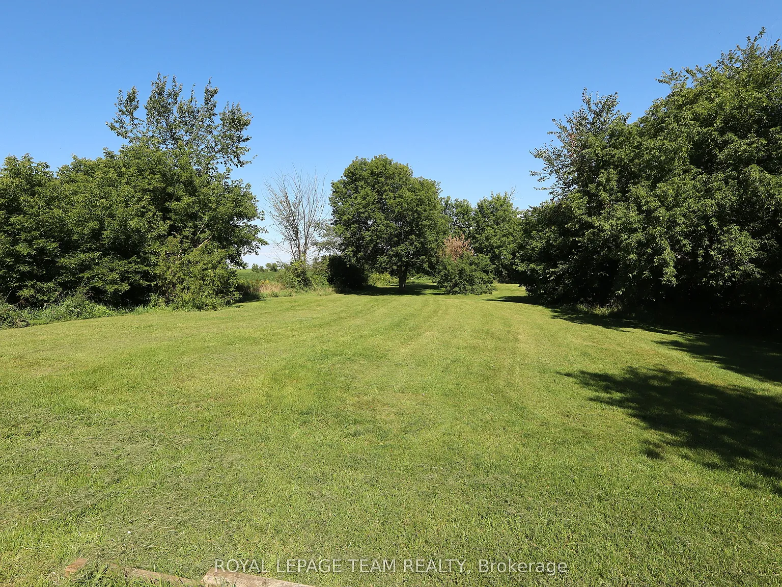 1 bed, $1,750 — Photo 2