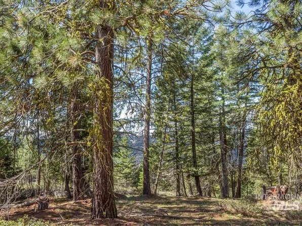 161 Little Donner Dr, Cascade, ID 83611