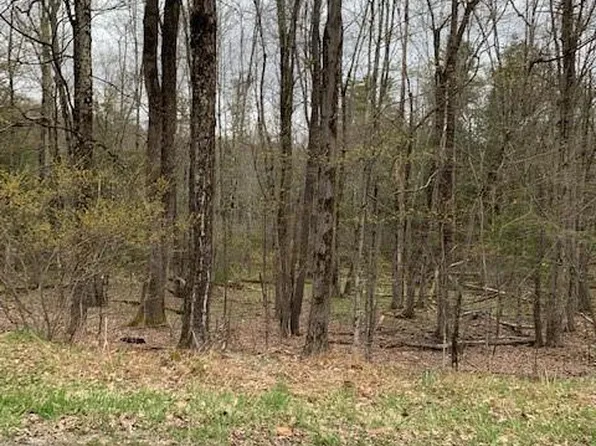 Mount Hope Rd, Swan Lake, NY 12783