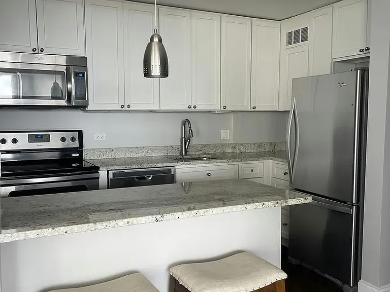 1455 N Sandburg Ter #1609 — Photo 4