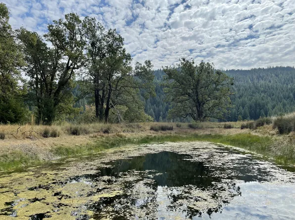 40/ACRE S Ridge Rd, Bridgeville, CA 95526