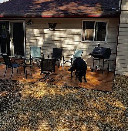 4th image of 1227 NE Taftson St
