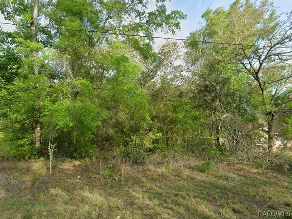 8280 N Galena Ave, Citrus Springs, FL 34434