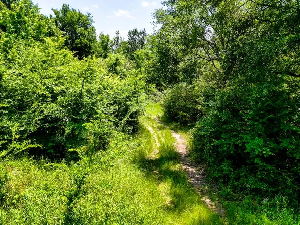 TRACT Two Rural McCurtain, Golden, OK 74737