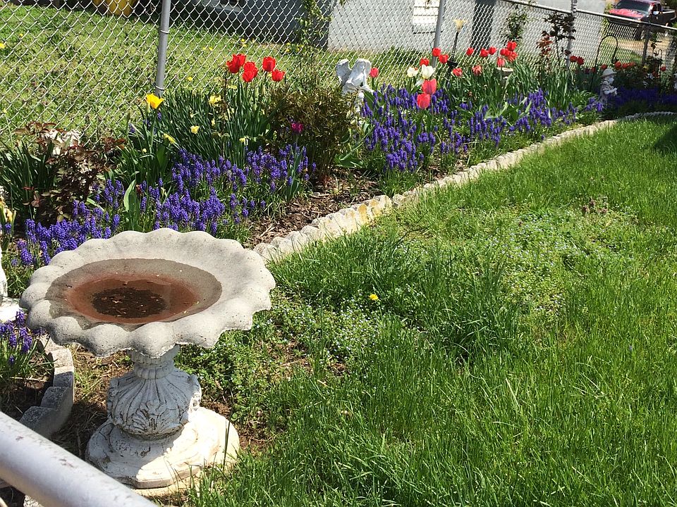 Lovely garden 