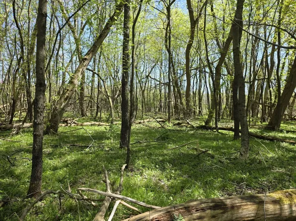 V/l Bellevue, Bellevue, MI 49021
