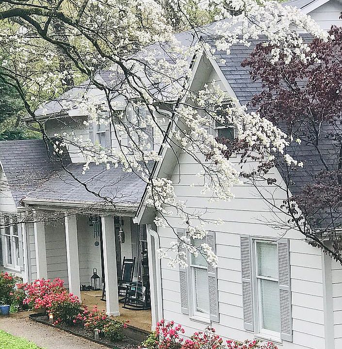 Front of the house 