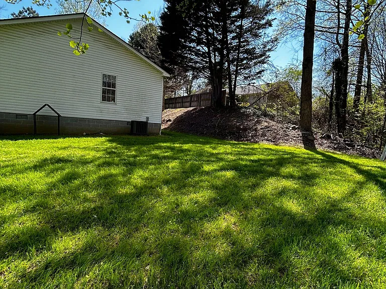 Side-yard