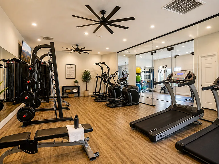 Modern gym with sleek equipment and decor