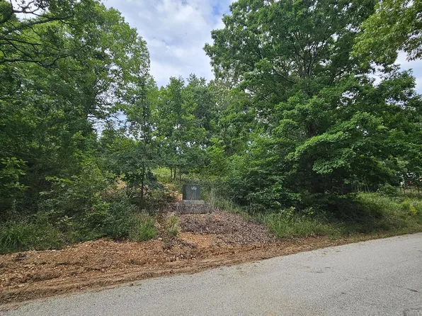 Lot #13 Hanging Branch, Cape Fair, MO 65624