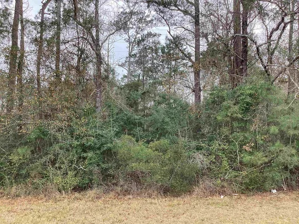 16332 Us Highway 96 S, Kirbyville, TX 75956