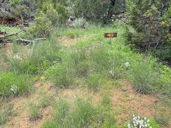 3634 Bobcat Trl, Overgaard, AZ 85933