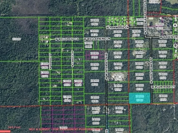 36 N Quiet Pines Point, Crystal River, FL 34429