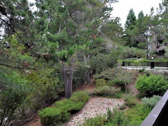 Deck2 - See the Pool?