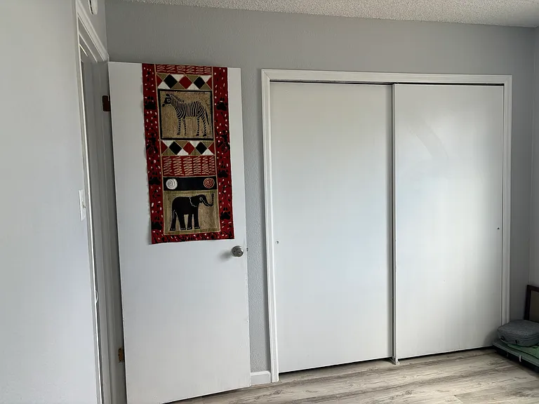 Closet in second bdrm/office