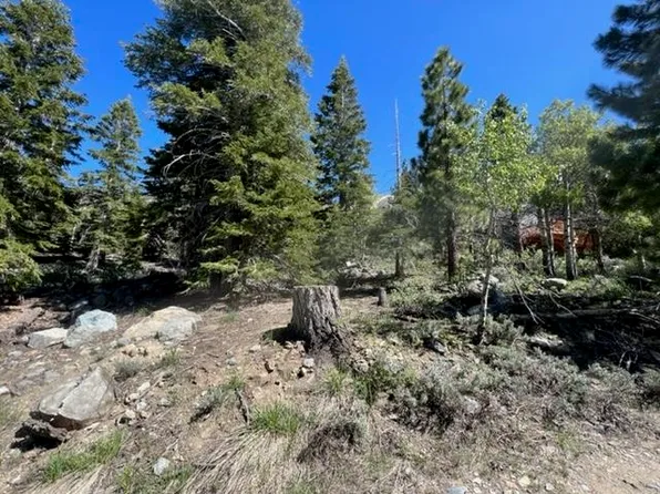 7 Kirkwood Dr #G, Bridgeport, CA 93517