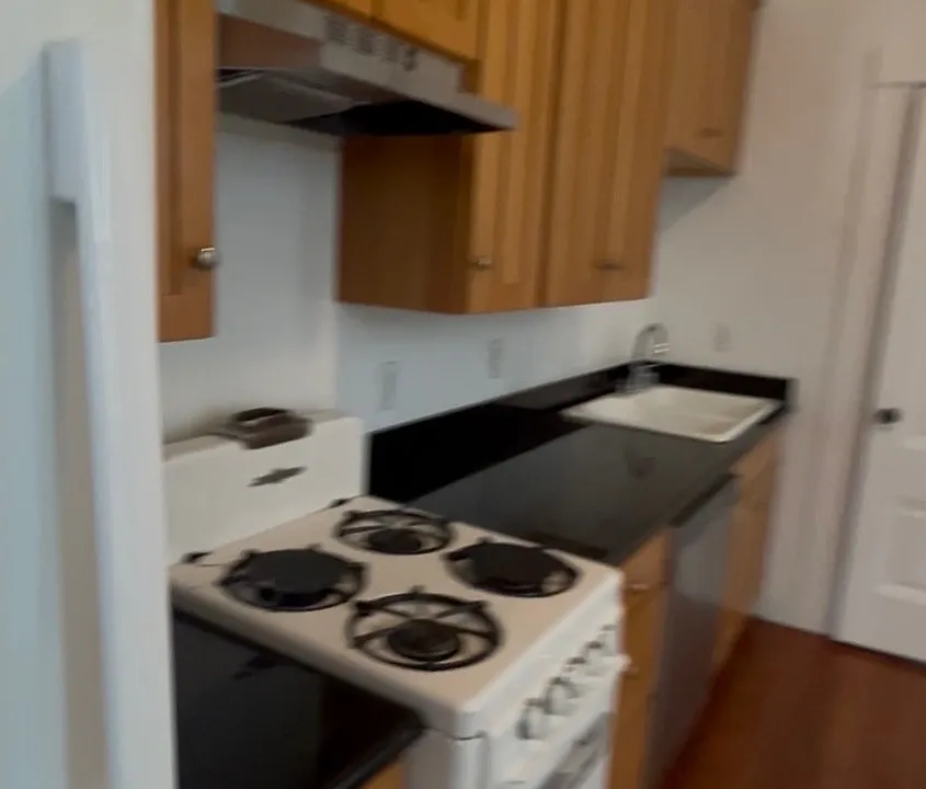 Kitchen area with fridge, gas range, and ample storage.