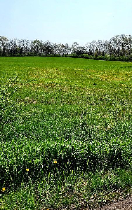 6 Acres on Maple Dale Road