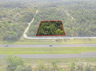 17496 Nicasio Jay Ave, Brooksville, FL 34614