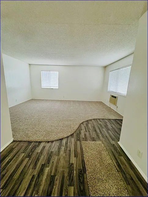 2 bed, 1000 sqft, $2,450 — Photo 3