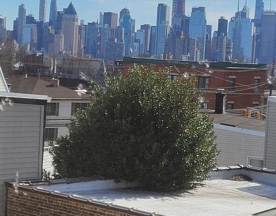 NYC view window