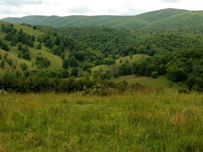 Seldom Seen Rd, Doe Hill, VA, 24433