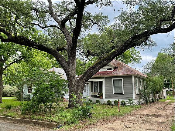 Gorgeous live oak tree!