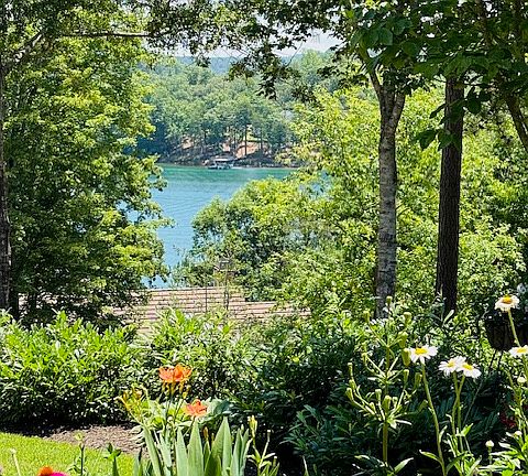 4th image of 511 Palmer Way