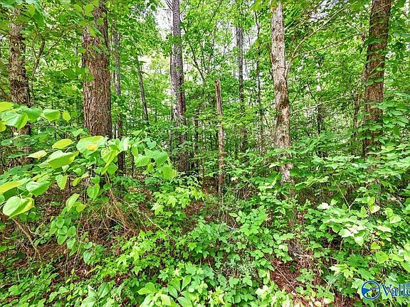 5th image of LOT 8 Mill Creek Rd