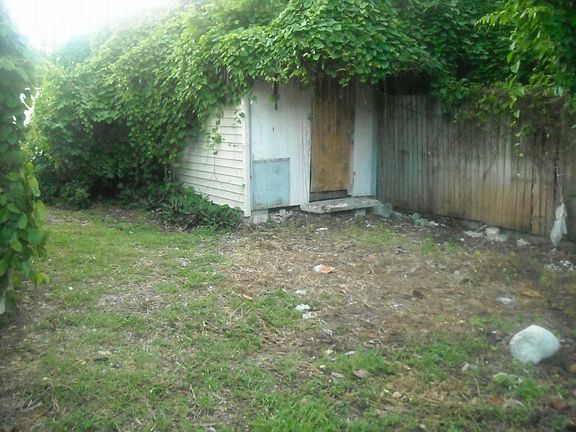 Shed