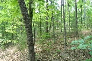 5th image of 0 Lake Forest Dr