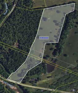 0 Lick Creek Rd, Primm Springs, TN, 38476