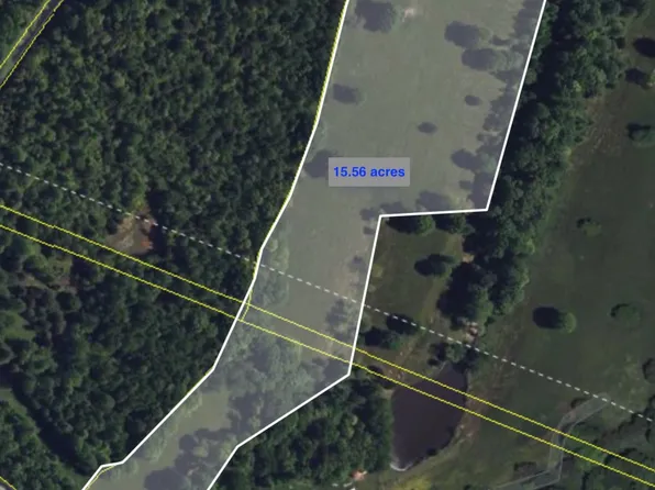 0 Lick Creek Rd, Primm Springs, TN 38476