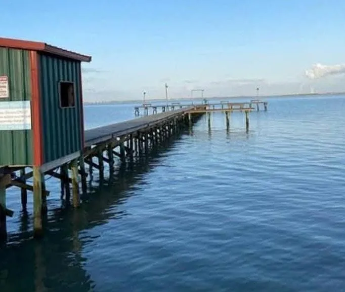 238 Ladyfish — Photo 15