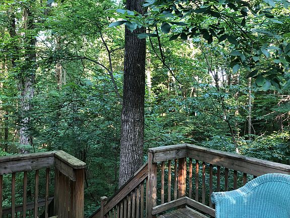 Trees and Seasonal Stream