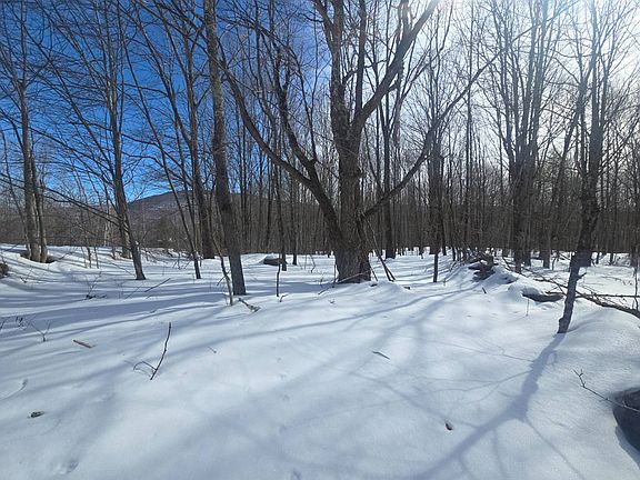 3rd image of 0WP Henry Williams Rd