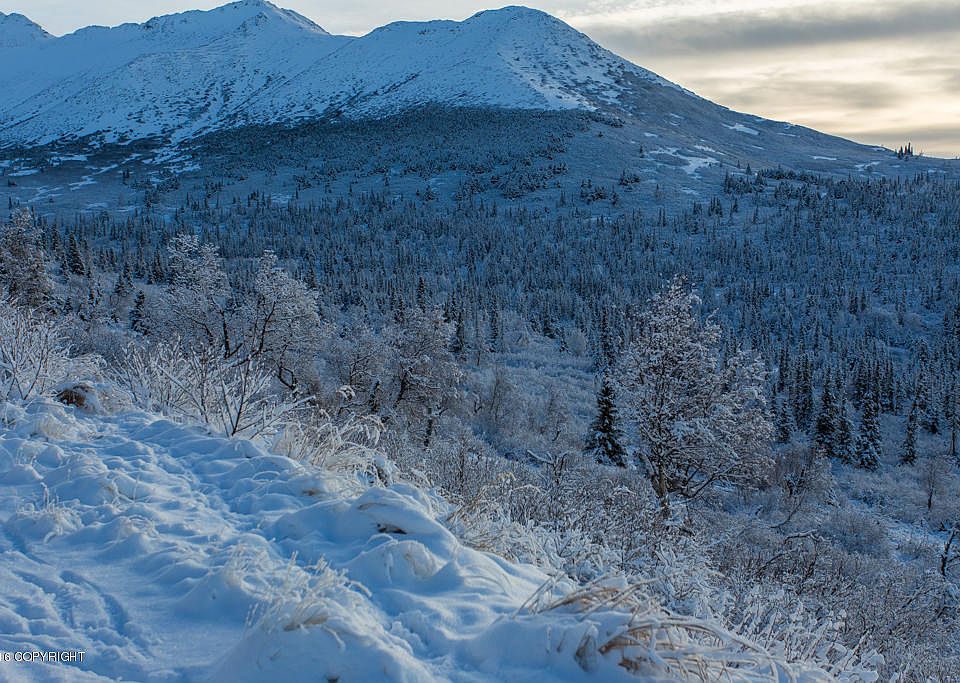 7980 Potter Heights Dr, Anchorage, AK 99516 Zillow