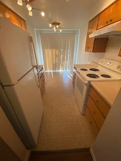 1 bed, $1,150 — Photo 3