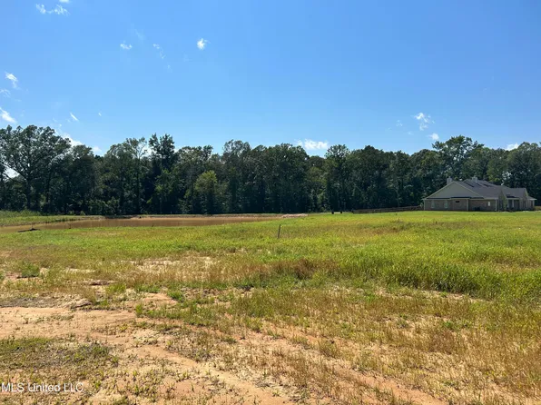 Richburg Ct Lot 18, Pearl, MS 39208