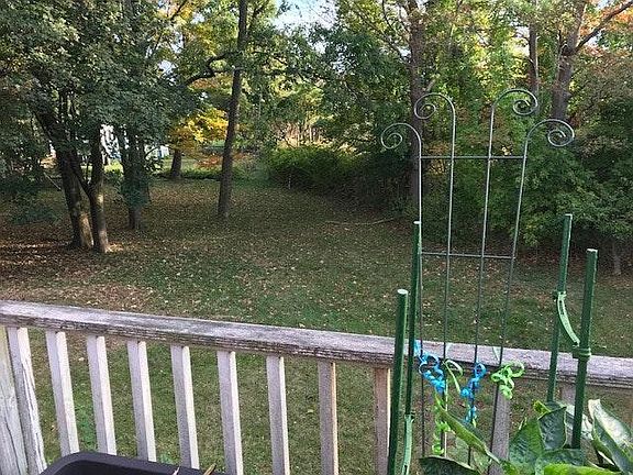 Back yard from deck