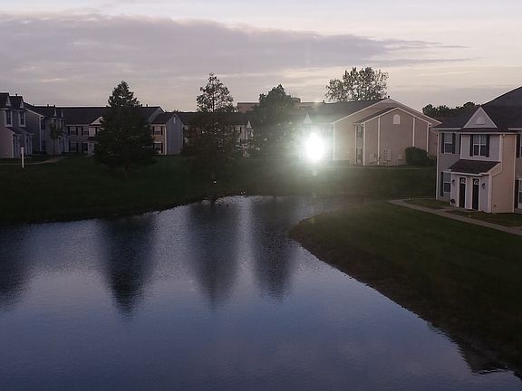 pond view