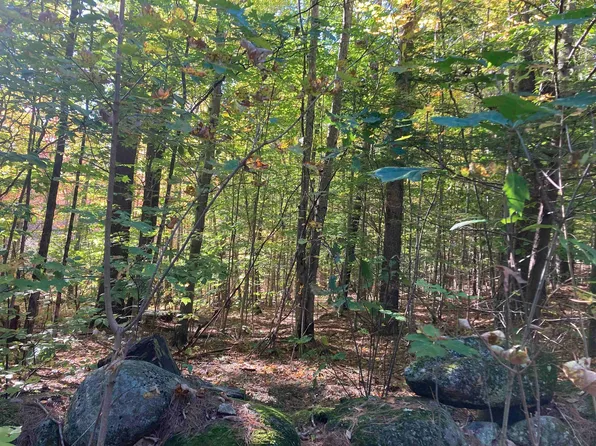 Patten Hill Road, Hillsborough, NH 03244