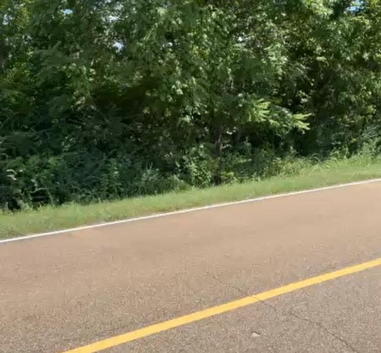 2nd image of 493 Gus Green Rd